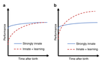 A critique of pure learning and what artificial neural networks can learn from animal brains